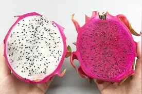 一样是火龙果，白心和红心的有什么不同？知道以后不要再乱买了视频封面