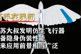 江苏大叔发明仿生飞行器，具备隐身伪装性能，外企从中看到商机视频封面