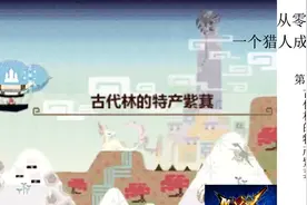 【喵君从零开始】怪物猎人XX  第1集村1星任务古代林的特产紫萁视频封面