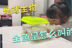 金鱼是怎么叫的呢？这里有你想要的答案！