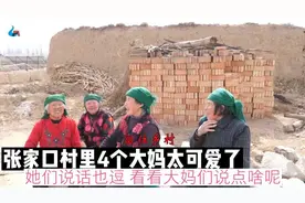 张家口村里4个大妈太可爱了，她们说话也逗，看看大妈们说点啥呢视频封面
