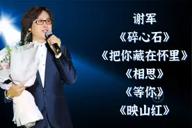 谢军经典《碎心石》《把你藏在怀里》《相思》《等你》《映山红》
