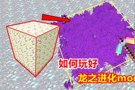 我的世界钻石大陆153：一条视频告诉你，龙之进化mod怎么玩！