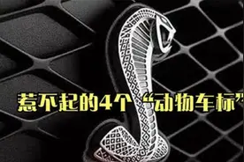 开车遇到这4种“动物车标”，有多远躲多远，不是你惹得起的车！