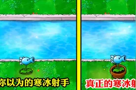 植物大战僵尸：寒冰射手的真实伤害，你确定知道？看完大开眼界！视频封面