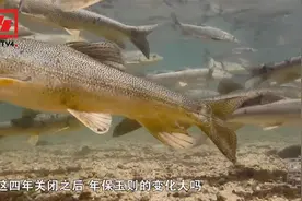 青海年保玉则：再现大自然赐予的生态风景