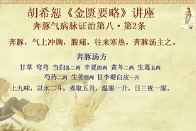 0130.胡希恕《金匮要略》讲座08-08-02（奔豚汤）视频封面