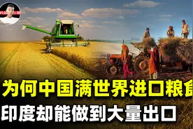 27％的国民极度饥饿，近2亿人营养不良！印度饥饿售粮是什么操作视频封面