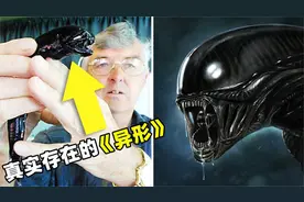 《异形》中的怪物居然真实存在？盘点4个电影中怪物的原型视频封面