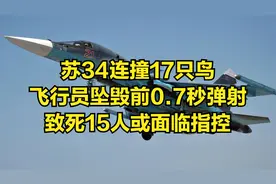 苏34连撞17只鸟，飞行员坠毁前0.7秒弹射，致死15人或面临指控视频封面