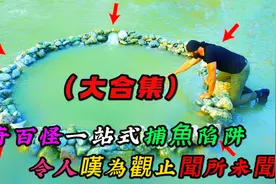 千奇百怪一站式捕鱼陷阱，令人叹为观止闻所未闻（大合集）视频封面