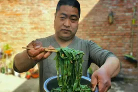 老姜做陕西手擀菠菜炸酱面，口感劲道炸酱臊子香，拿大盆咥太过瘾