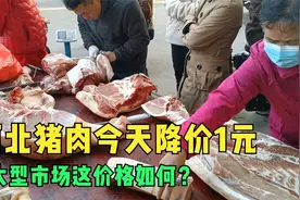 猪肉今天降价了 来石家庄大型猪肉市场看看 这价格如何？视频封面