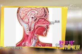 垂体究竟长在哪？专家揭晓答案，你答对了吗|职场健康课