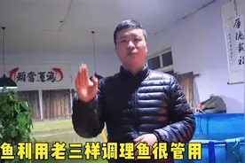养鱼学会利用老三样调理鱼的状态，不用药物足以解决视频封面