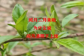 闰二月来啦，为啥说闰月清明不上坟，究竟有什么说法视频封面