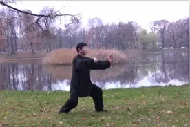 武术名家陈汝庆演练丁宗正先生传杨少侯小架太极拳，颇有特色！视频封面