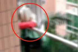 22岁女子站7楼阳台边沿欲轻生，母亲死死抱住，消防破门救下视频封面