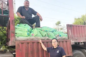 农村姑娘养殖黄鳝，一吨黄鳝饲料就要11000块钱，大家觉得贵吗？视频封面