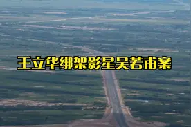 王立华绑架影星吴若甫案视频封面
