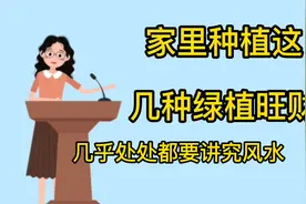 家里种这几种绿植风水好又旺财视频封面