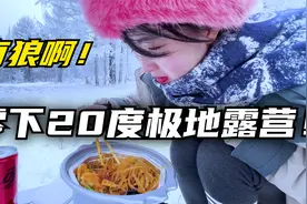 内蒙零下20极地露营碰见野生狼在狼嚎！听当地人说附近有白狼出没视频封面