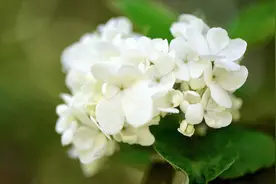 做人做不好小事，做事做不成大事。视频封面