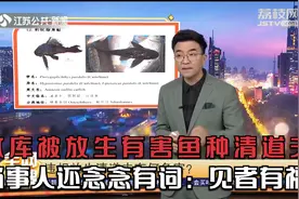 广西一水库被放生有害鱼种清道夫！当事人还念念有词：见者有福视频封面