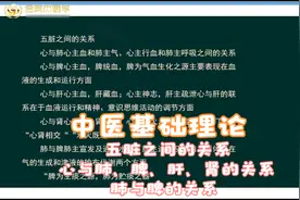 中医理论-五脏的关系：心与肺、脾、肝、肾的关系，肺与脾的关系