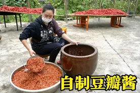做菜必备的调料“豆瓣酱”，乐乐教您自己在家做，配方比例很详细