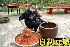 做菜必备的调料“豆瓣酱”，乐乐教您自己在家做，配方比例很详细