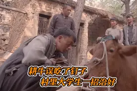 耕牛把铁钉吃进肚子，村里大学生用知识，拯救它的性命视频封面