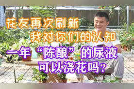 花友再次挑战我的极限，一年“陈酿”尿液可以浇花吗？每日一答。视频封面
