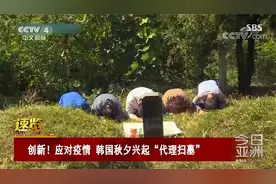 创新！应对疫情 韩国秋夕兴起“代理扫墓”视频封面