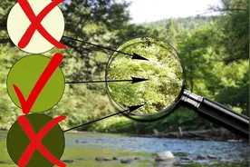 超详细的油画教学，不信你还学不会！（第三段）视频封面