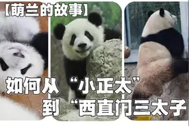 为何成为西直门三太子？两岁时患骨髓炎，竟是靠粉丝发现保命！视频封面