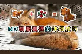 详细揭秘MC狐狸的驯服技巧，手段较为残忍，要让它成为孤儿？