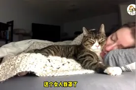 女主人睡着了，猫咪悄悄依偎在她旁边，这一幕好有爱视频封面