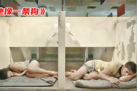 美女被铁链拴住，当做狗来饲养。电影：他像一条狗视频封面