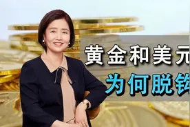 黄金和美元为何脱钩？一起听听清华韩秀云怎么说视频封面