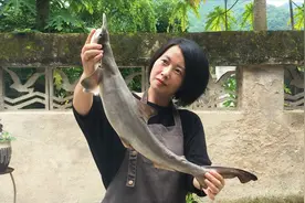 鲨鱼别再清蒸了，学福建海边人这样做，鱼肉鲜香无腥味，下酒下饭视频封面