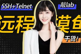 【网工技术】SSH+Telnet了解一下 远程摸鱼必备 在家躺着敲设备视频封面
