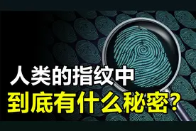指纹究竟隐藏什么秘密？它真的能“预测未来”？