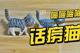 猫咪叫啊叫。猫咪话痨的5+1个原因~视频封面