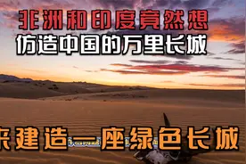 非洲和印度竟然想仿造中国的万里长城，挑战来建造一座绿色长城视频封面