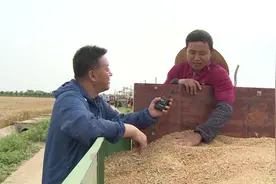 麦客全国收麦子，一年有十万收入！视频封面