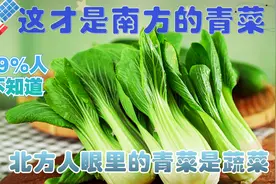 南方人眼中的青菜，到底是什么菜？这问题一直困扰着我们北方人视频封面
