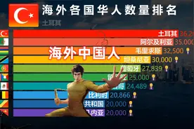 海外华人数量排名，网友：中国同胞遍布四海！视频封面