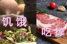 20亿人吃撑，8亿挨饿，我们的粮食到底怎么了？从美国人浪费说起视频封面