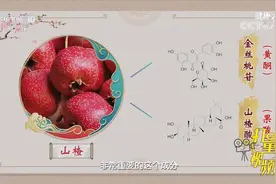消肉食、活血散瘀、祛浊降脂，山楂功效多，可以降血脂|健康之路视频封面
